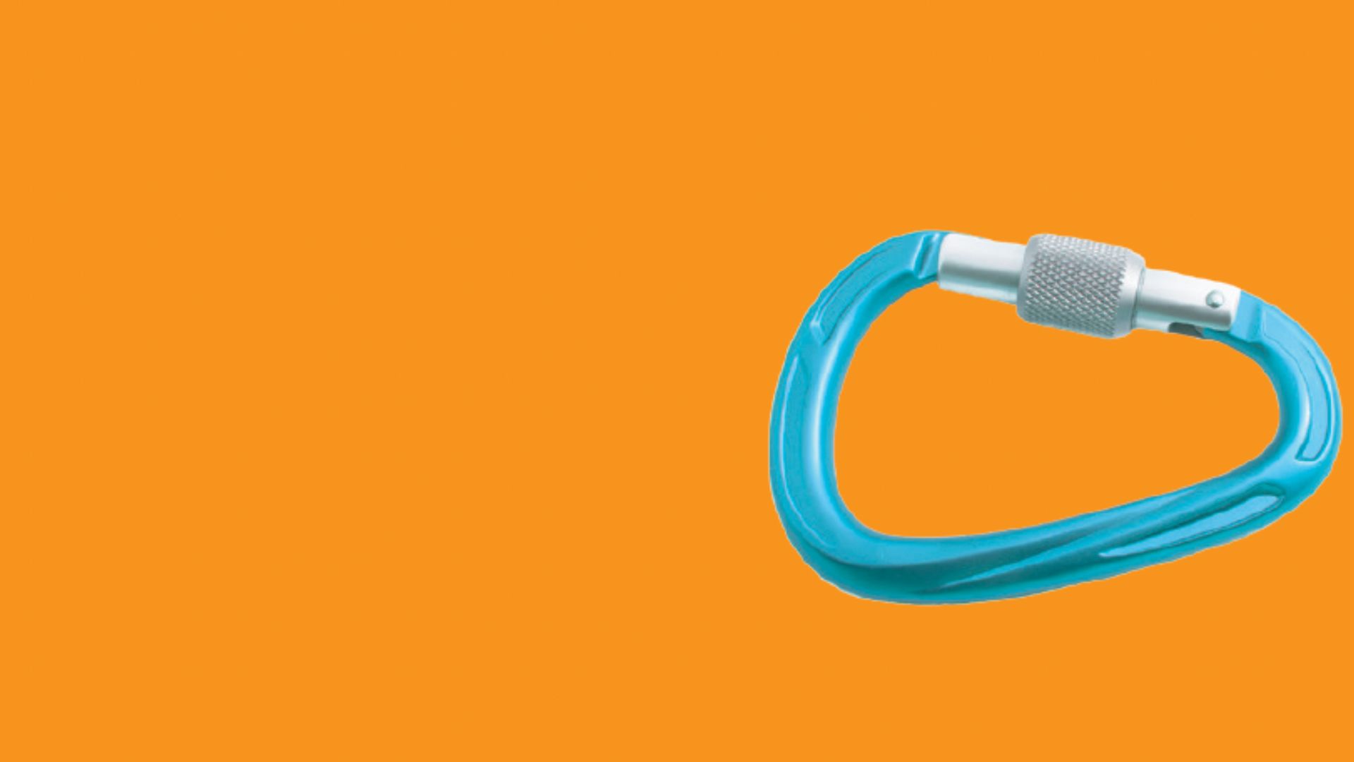 2 MOG Sicurezza – D.Lgs. 81/08